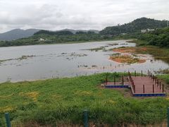 -立新湖公园