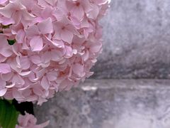 -黎里古镇