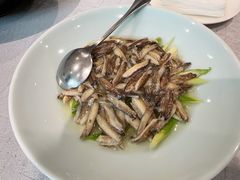 -新光酒家·河豚·海鲜·蟹料理(浦东店)
