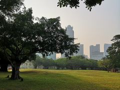 -万绿园