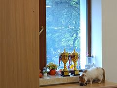 -首开寸草亚运村养老院