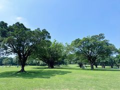 -东莞植物园