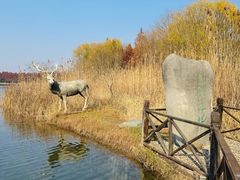 -溱湖国家湿地公园