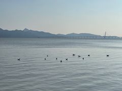 -深圳湾公园(南山区)