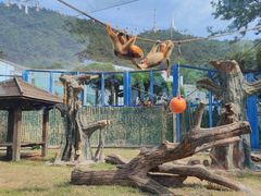 -大连森林动物园