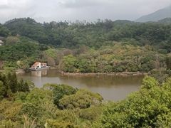 -深圳仙湖植物园