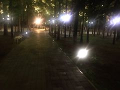 -武汉两江游览·夜游长江(汉口粤汉码头)