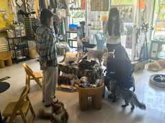 -平行世界·猫咖(首经贸店)