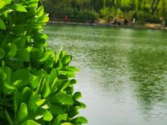 -济南植物园