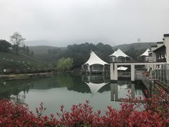 -帐篷客·溪龙茶谷度假酒店