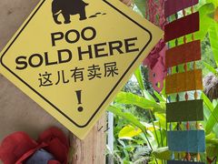 -大象粑粑造纸公园