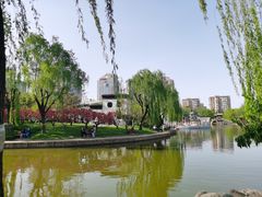 -团结湖公园