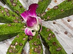 -阿露佳·舌尖上的安吉菜