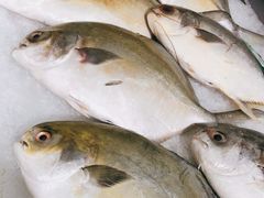 -沃尔玛购物广场(燕郊店)