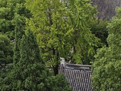 -常熟方塔园