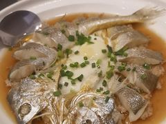 -得丘礼享谷·玉兰苑