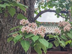-晋祠博物馆
