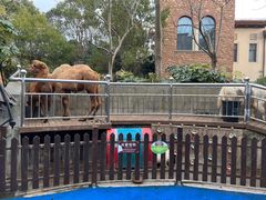 -上海崇明金茂凯悦酒店