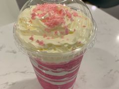 -飞行喵MR PILOT|猫舍·猫咖(静安大融城店)