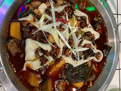 -晓彭肥肠鸡·泡椒鸡火锅(水木天地店)