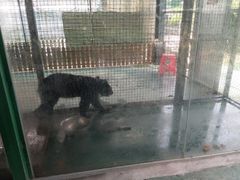 -泉州海丝野生动物世界