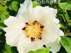 -江南大学(蠡湖校区)