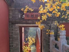 -潭柘寺景区