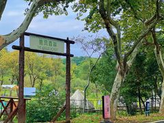 -宜兴龙背山森林公园