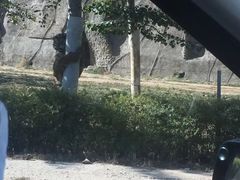 -秦皇岛野生动物园