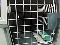 -半岛宠物医院24小时(白果林店)