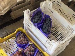 -马陆小张葡萄园农家乐