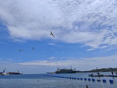 -海驴岛(荣成市)