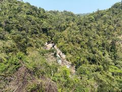 -海南热带雨林国家公园吊罗山景区