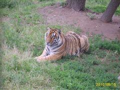 秦岭野生动物园-西安秦岭野生动物园