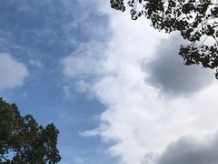 -上海长海医院·体检中心