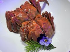 -杨氏青龙虾·羊蝎子(托乐嘉店)