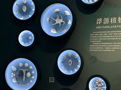 -中国湿地博物馆