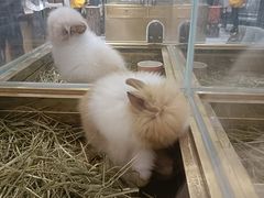 -百联西郊购物中心·停车场