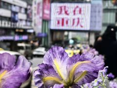 -观音桥步行街