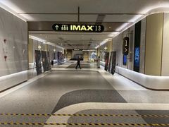 -英皇电影城(平安金融中心IMAX激光店)
