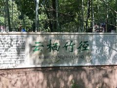 -西湖风景区十里琅珰-五云山