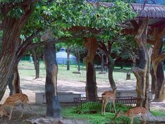 -西安秦岭野生动物园
