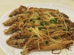 -益利大酒楼(井岸店)