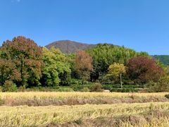 -塔川景区