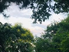 -香山公园