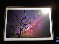 -罗红摄影艺术馆