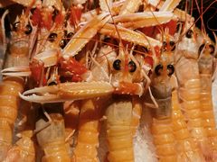-花潮料理艺食馆(SM新生活广场店)