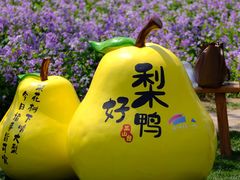 -江苏三台山国家森林公园