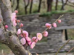 -广富林郊野公园