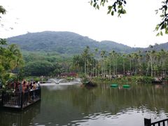 -呀诺达热带雨林